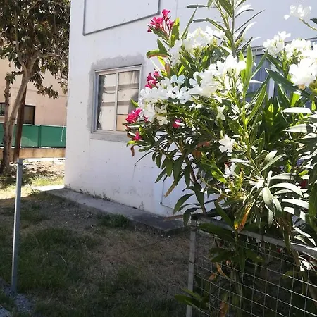 Apartment, Kato Paphos, Ground Floor, Apartament